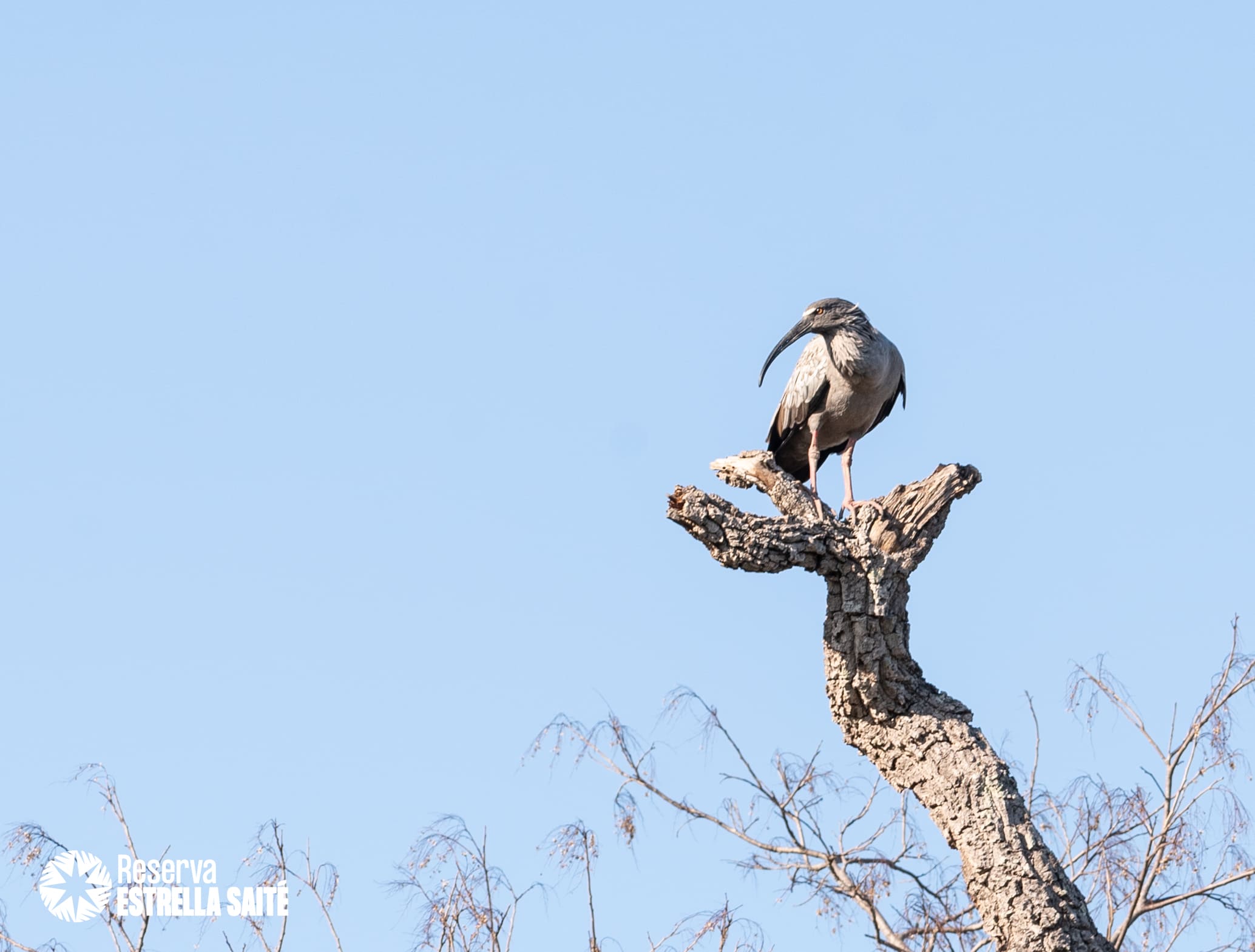 Reserva Estrella Saité