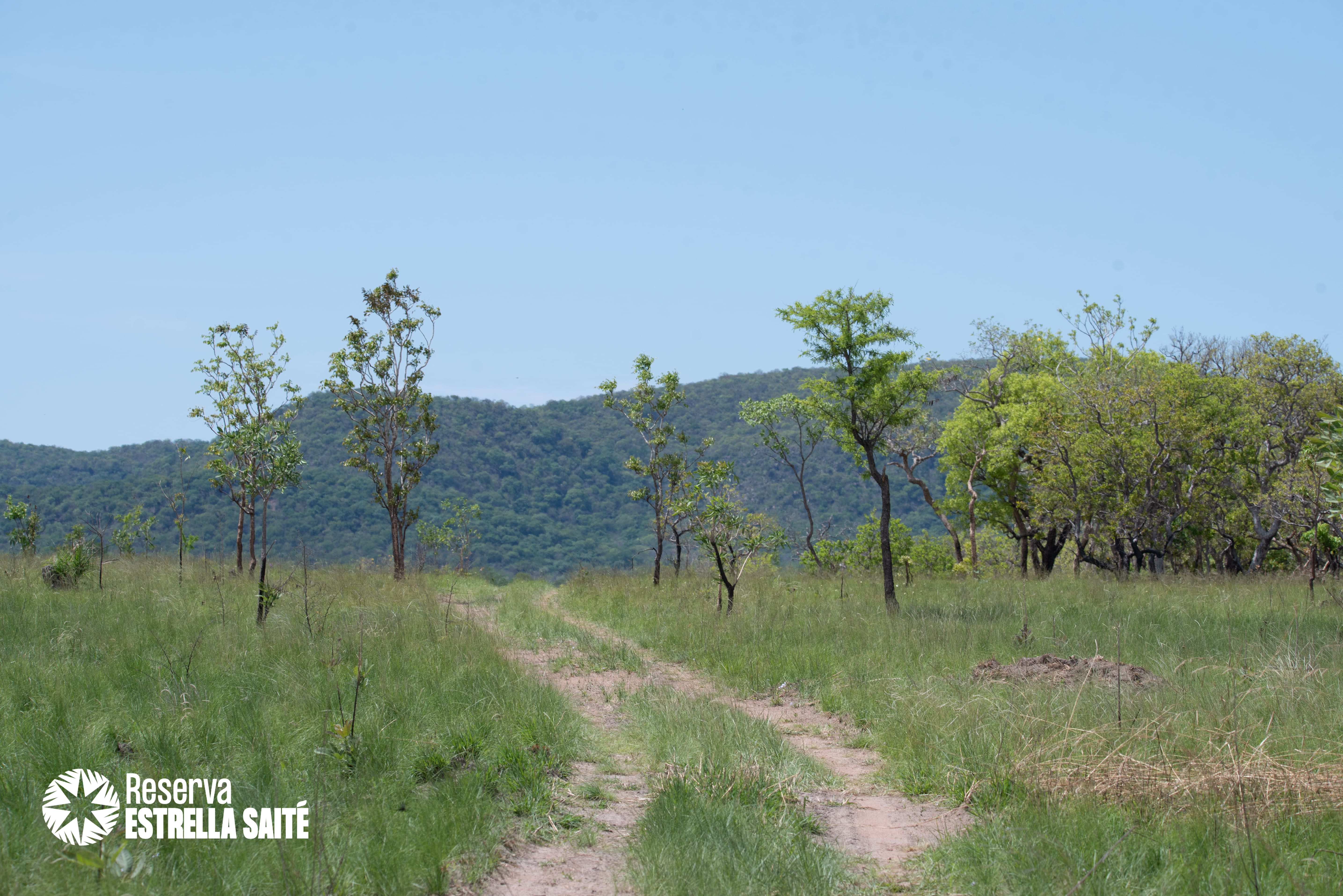 Reserva Estrella Saité