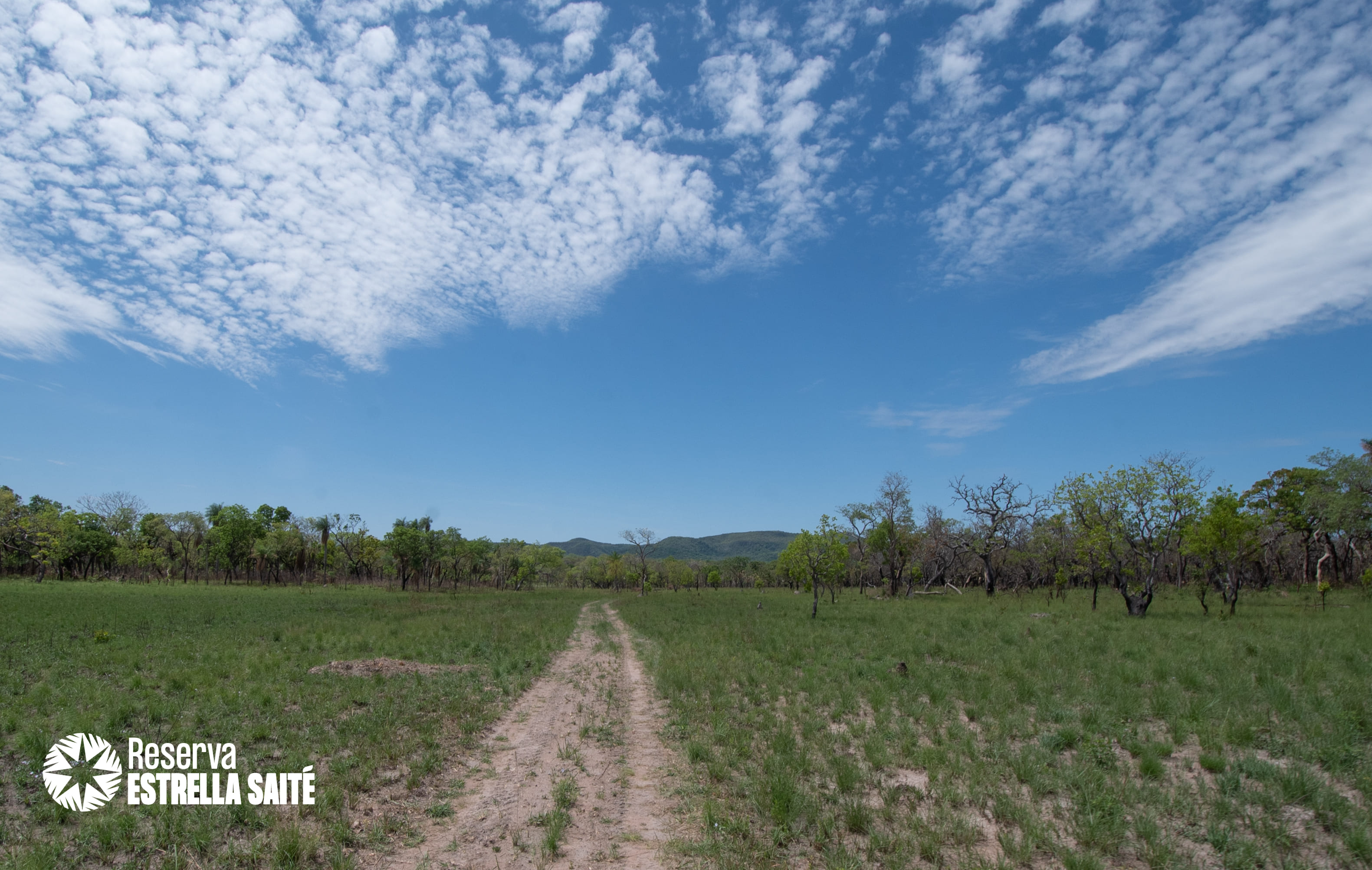 Reserva Estrella Saité