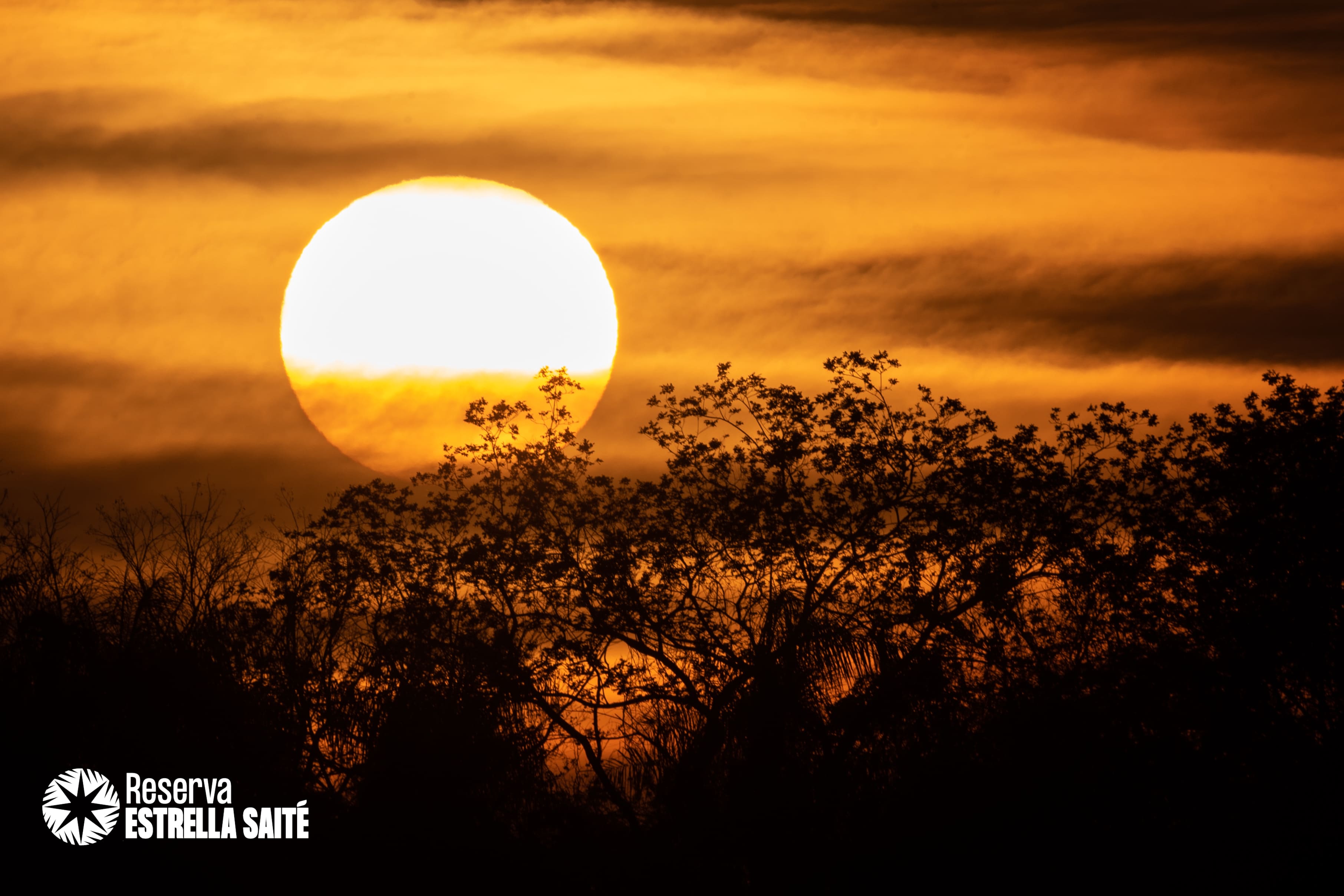 Reserva Estrella Saité