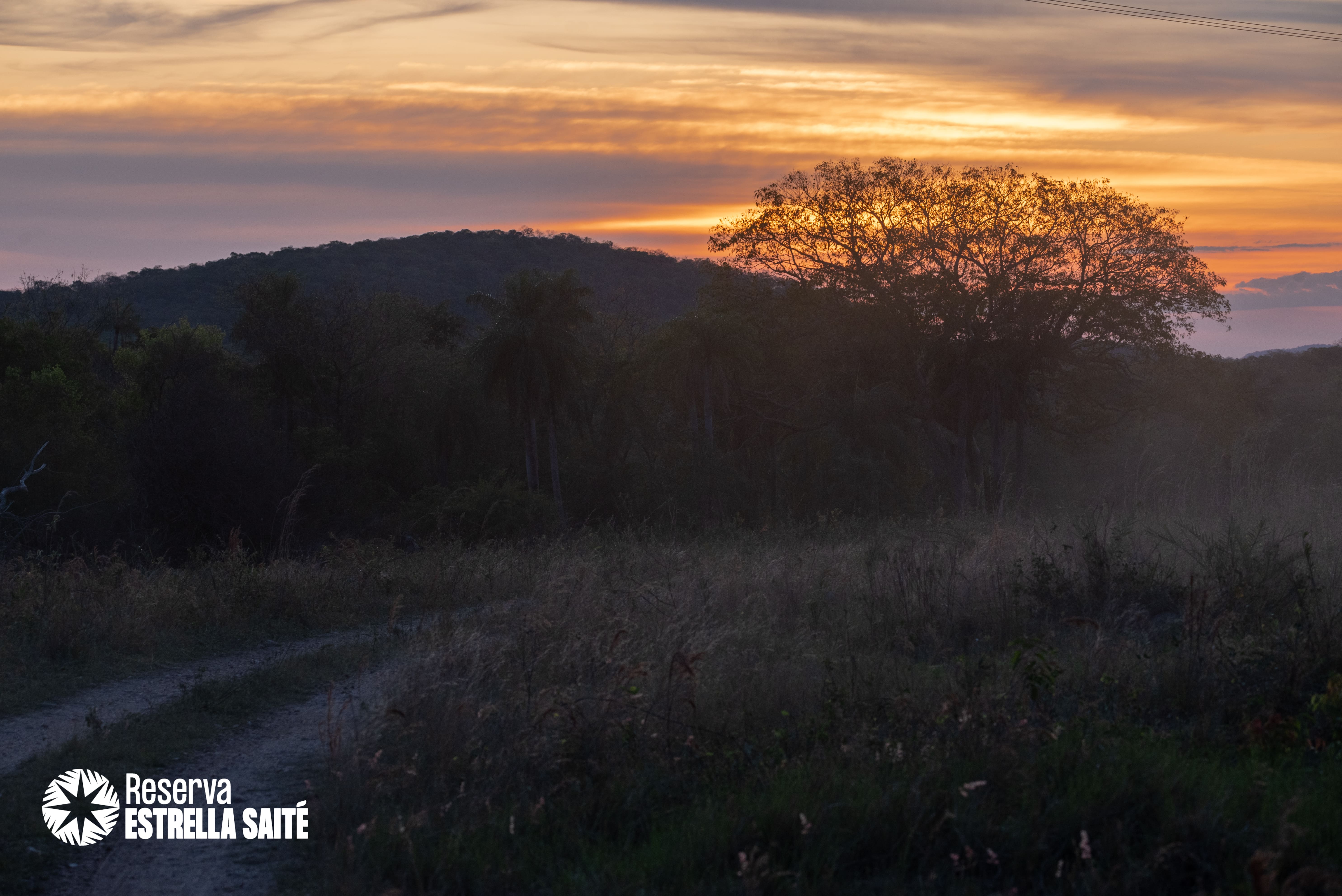 Reserva Estrella Saité