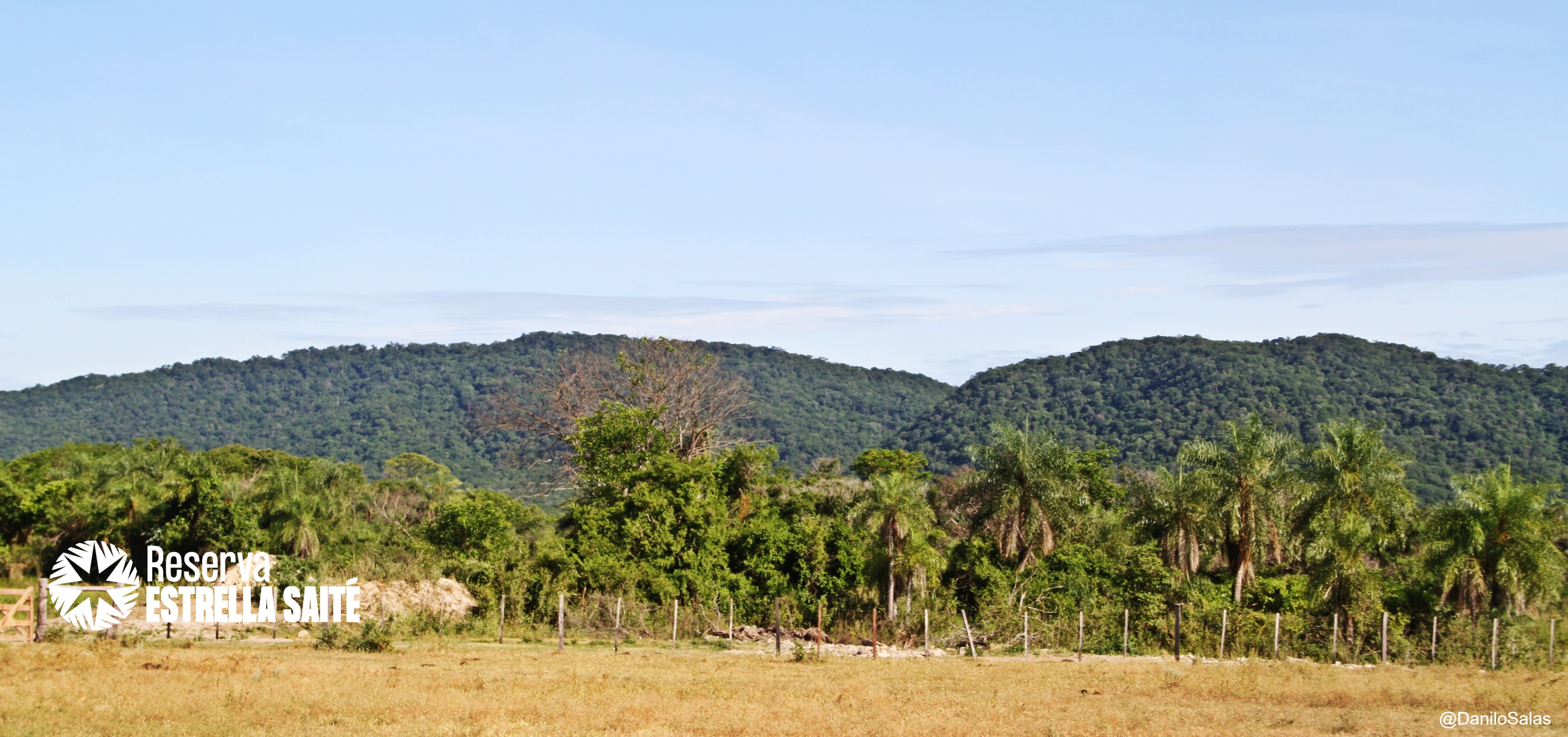 Reserva Estrella Saité