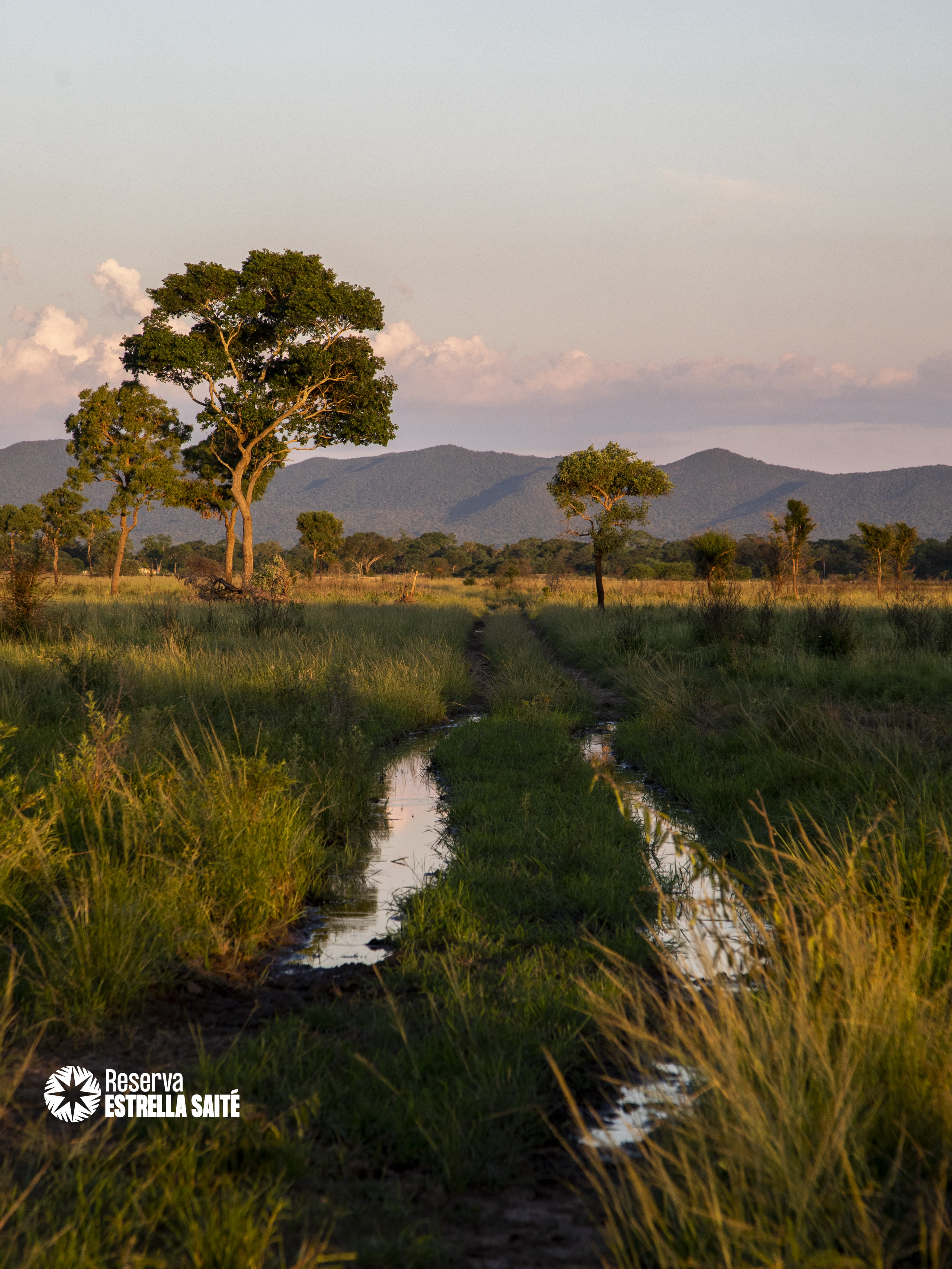 Reserva Estrella Saité