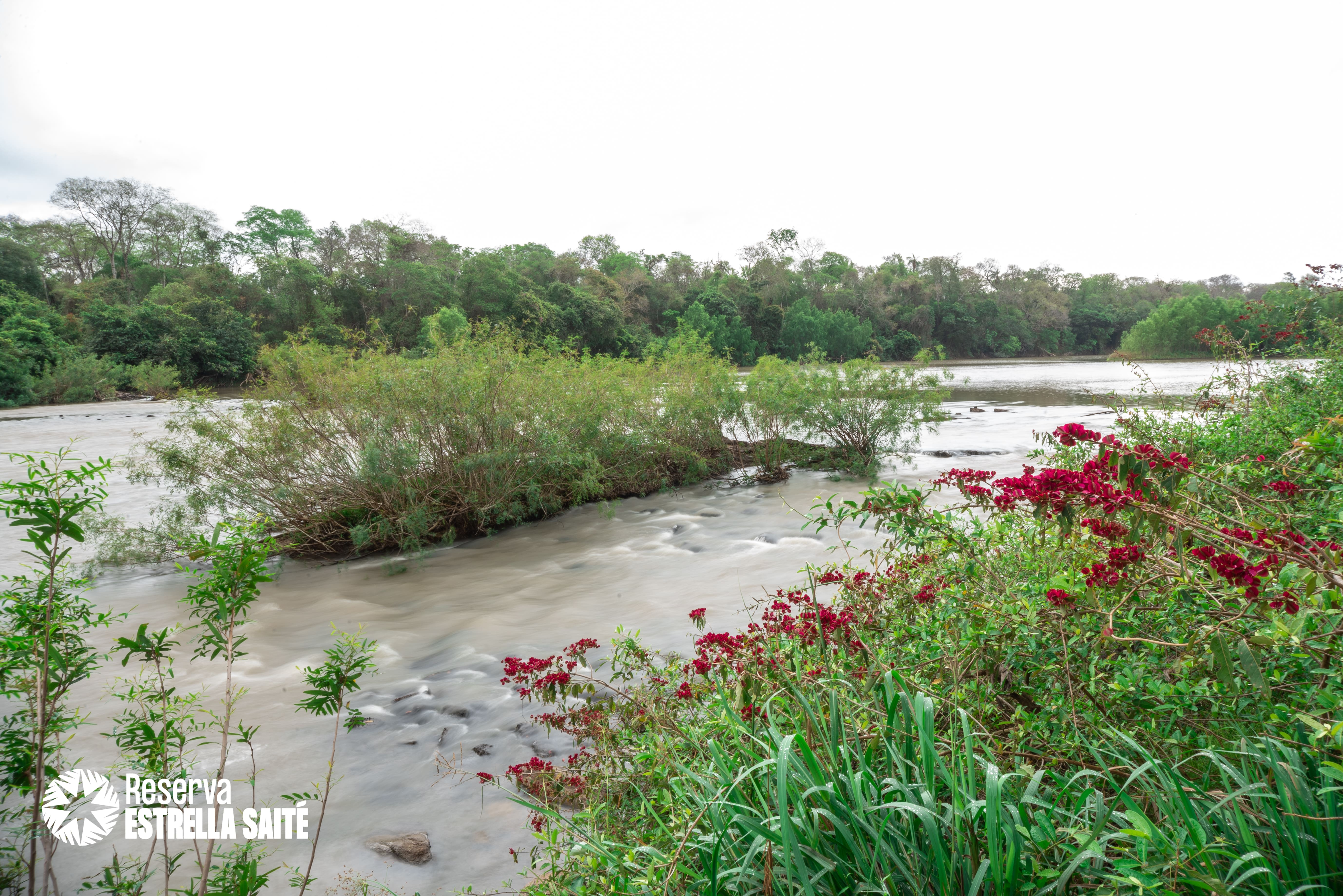 Reserva Estrella Saité