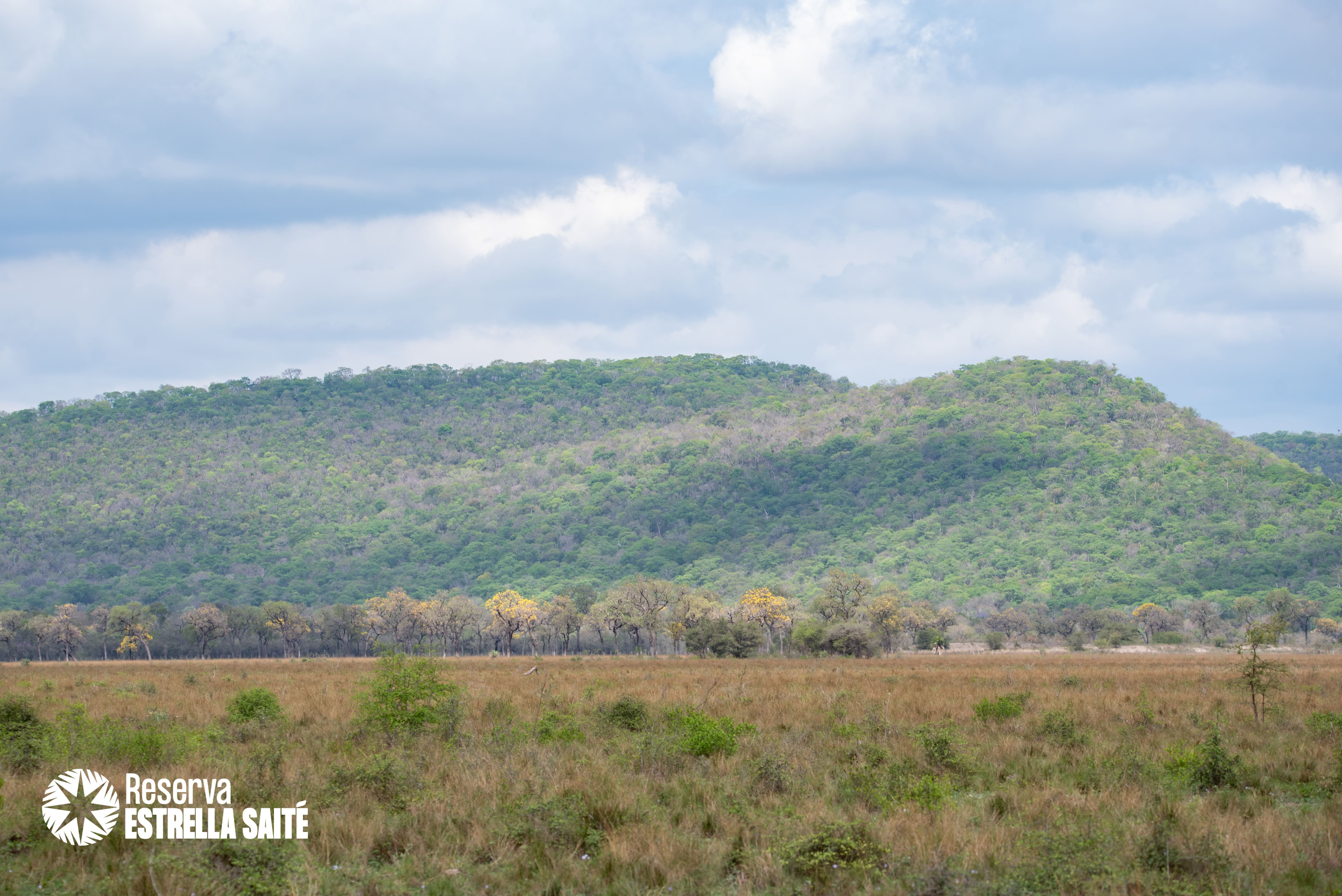 Reserva Estrella Saité