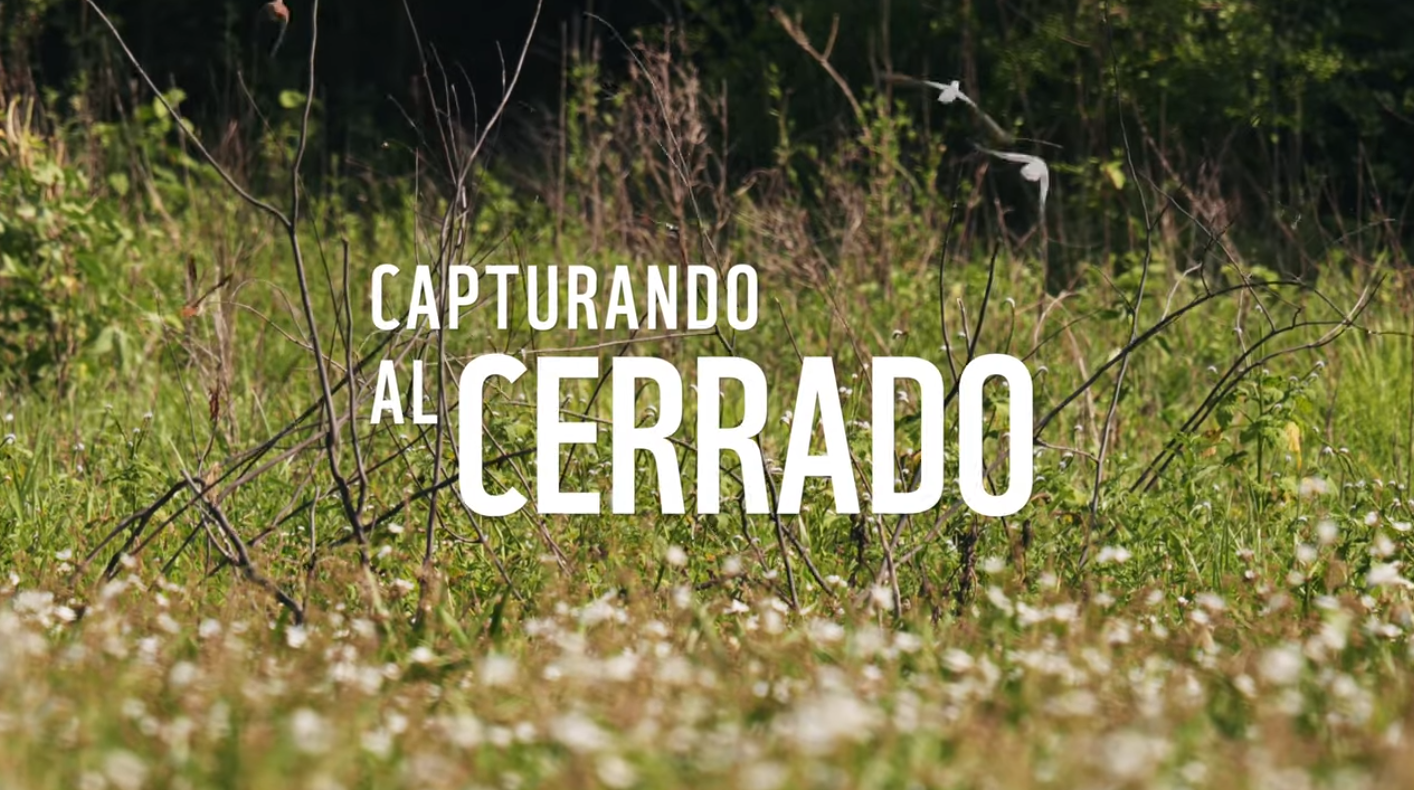 Capturando al Cerrado